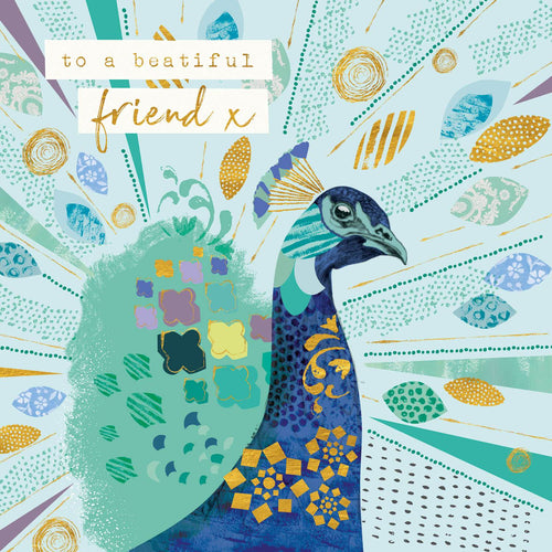 Peacock Beautiful Friend