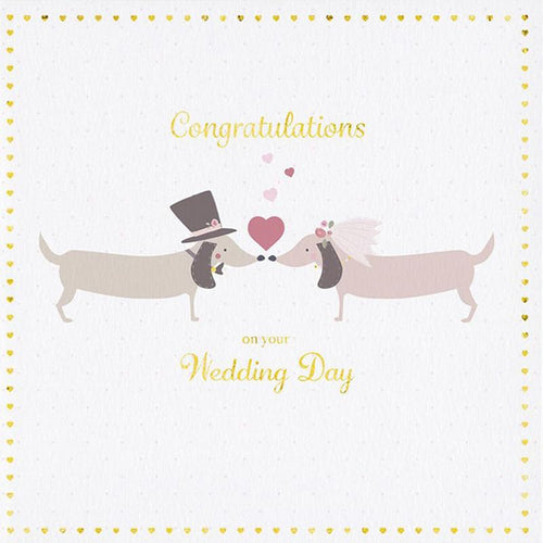 Doggie Wedding Day