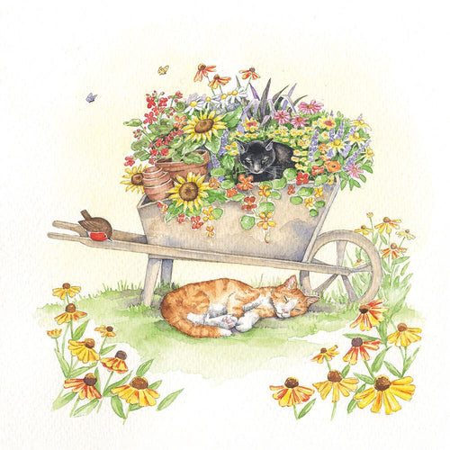 Two Cats And A Wheelbarrow