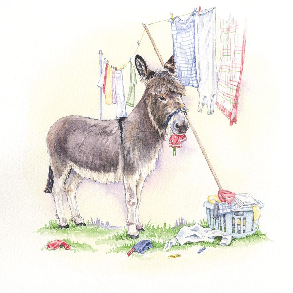 Getting The Washing In