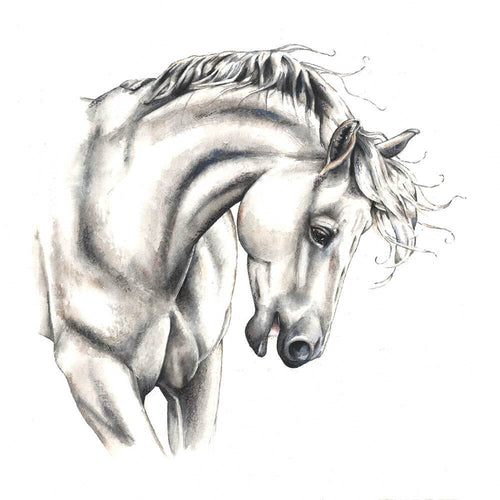 White Horse