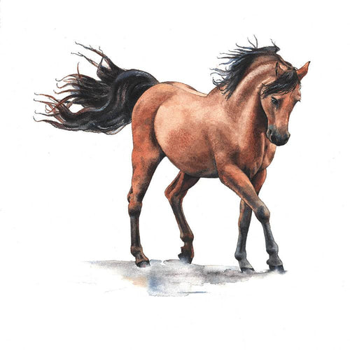 Brown Horse