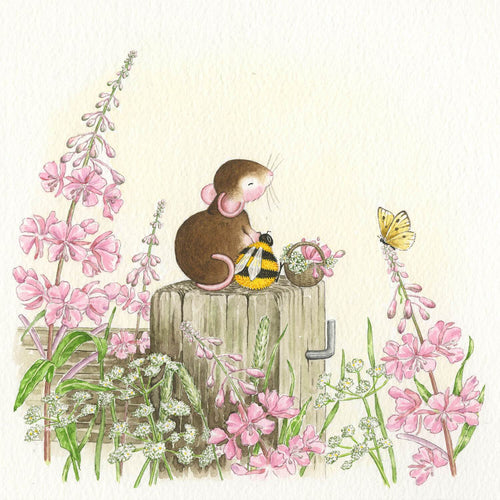 Mouse Rosemary, Willowherb and Cow Parsley