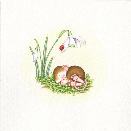 Asleep Under The Snowdrops