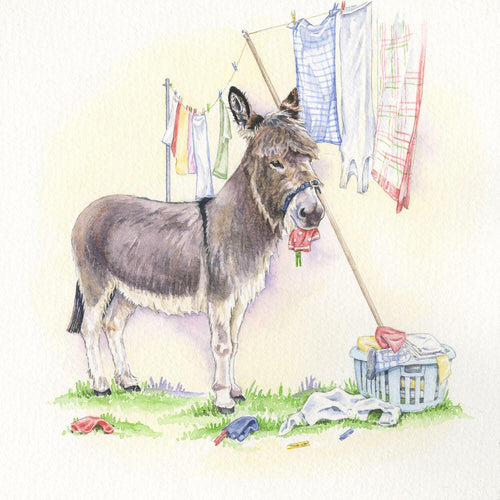 Getting The Washing In