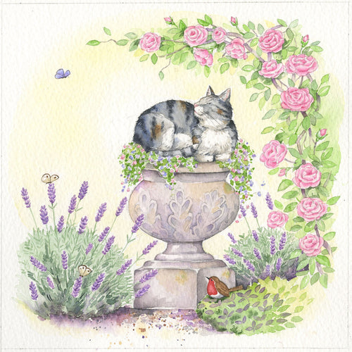 Cat In A Planter