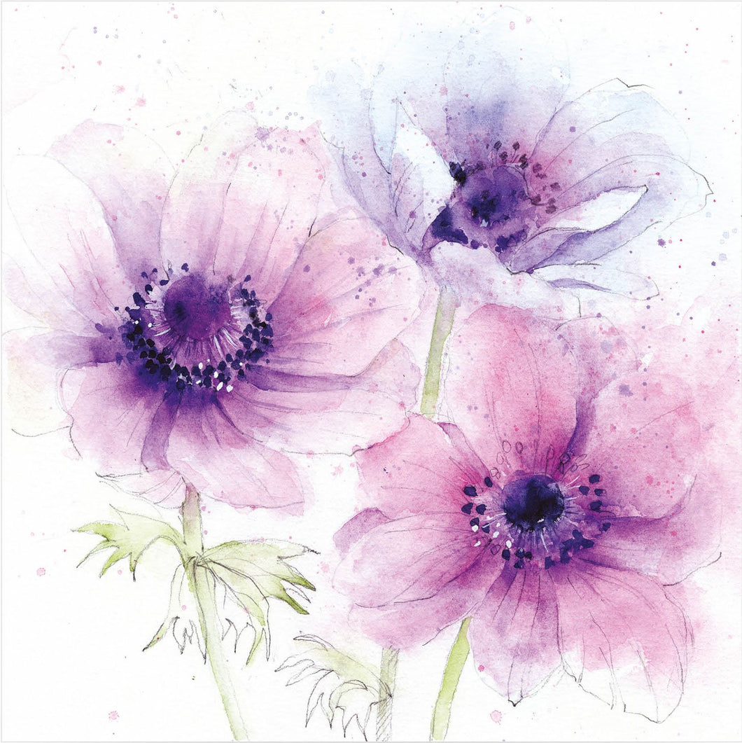 Pencil Anemone