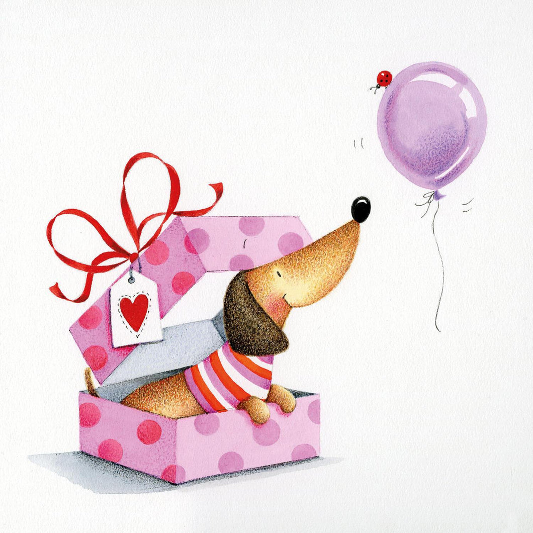 Birthday Present Sausage Dog
