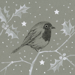 Robins Winter Wonderland