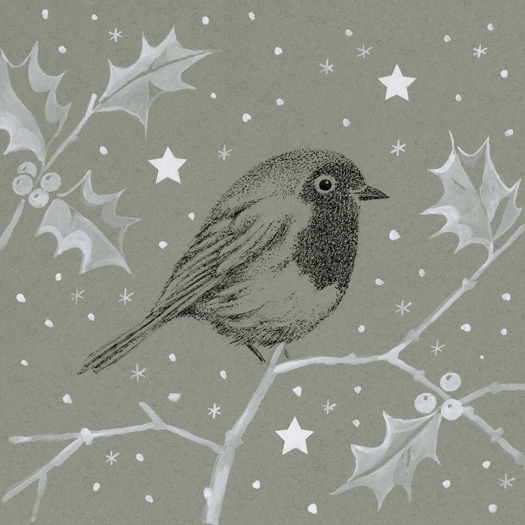 Robins Winter Wonderland