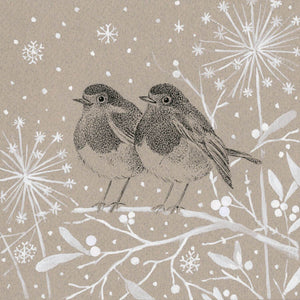 Two Robins Winter Wonderland