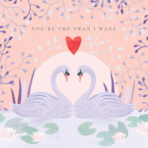 Valentines Swan