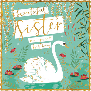 Beautiful Sister Swan