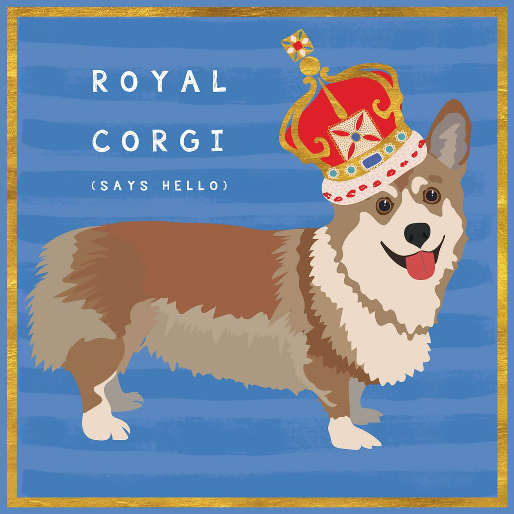 Royal Corgi