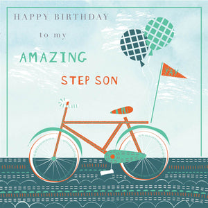 Step Son Birthday Bike